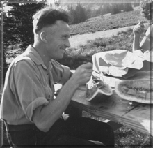 Picnic on Mount Ranier - Washington State in the Western United States of America.